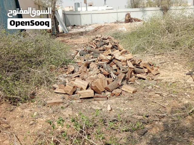 عامل تفطيع حطب عامل تقطيع و تشليخ حطب قصص شجر قصص نخل