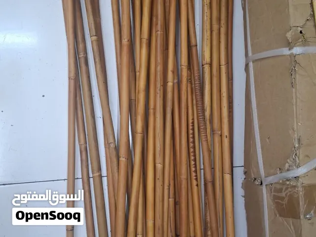خيزران سنغافوري