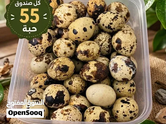 بيض سمان طازج محلي