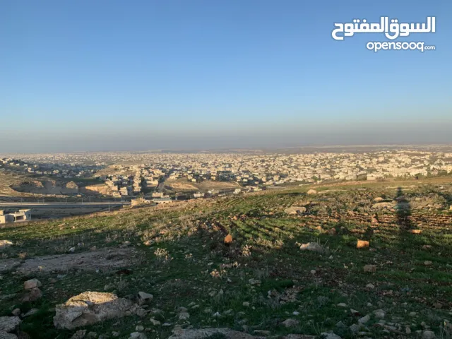 Residential Land for Sale in Al Huson, Irbid  Stunning Panoramic Views