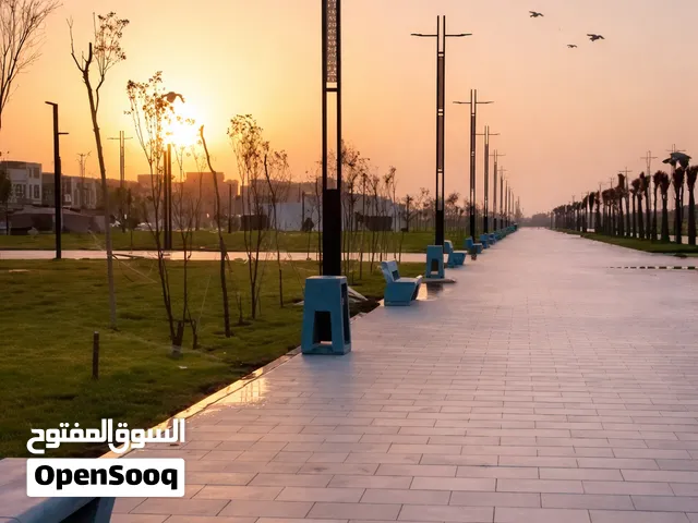 سلام عليكم رايد كلب زينه يل تبني واقبل كل الشروط