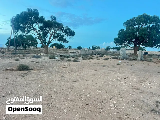 فرصة ارض سكنية بسعر مناسب في تيكا