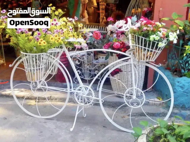 -دراجة تحفة ورود