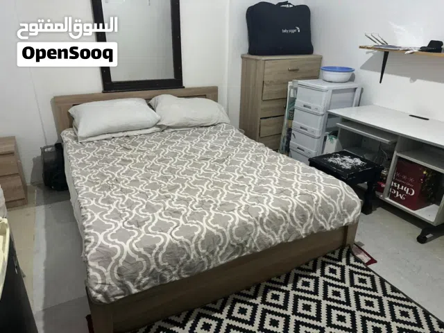 Premium Cat Boarding in Riyadh  Safe, Clean & Air-Conditioned Cat Hotel