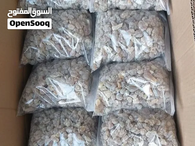لبان حوجري و شعبي و ذكر اصلي