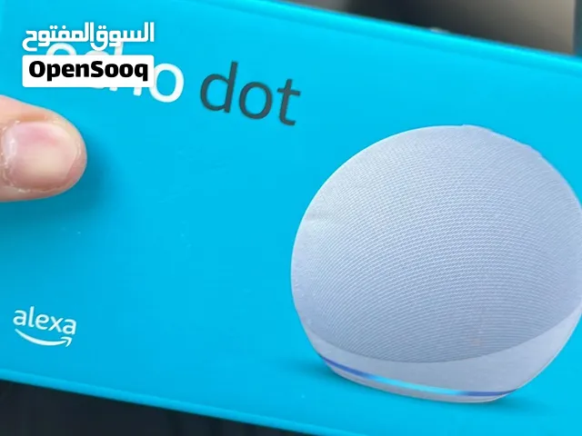 Alexa 29  echo dot