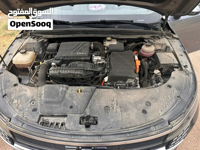 BYD ديترويت موديل 2025 لون رمادي