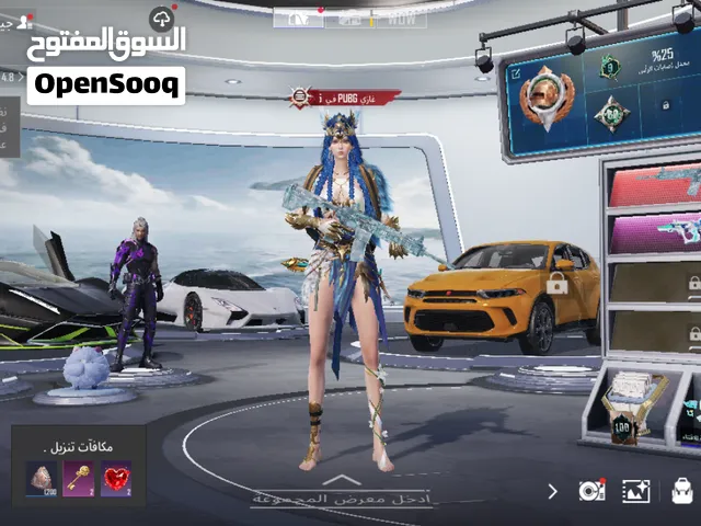 بيبجي موبايل