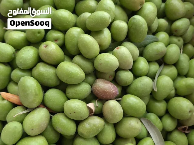 15 كيلو زيتون بلدي في ضاحيه الرشيد.