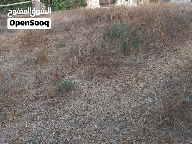 قطعة أرض للايجار جنزور الشرقيه