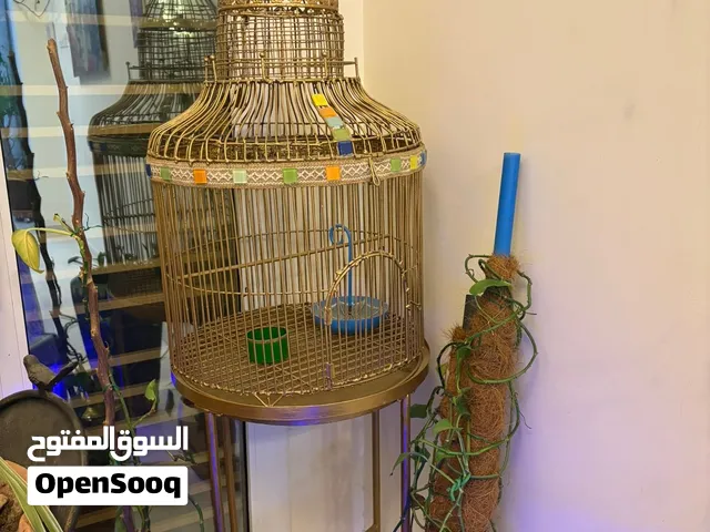قفص عصافير ملكي