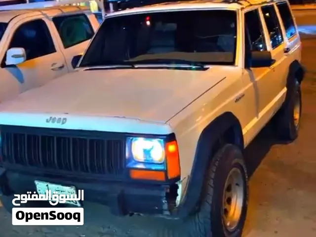 للبيع تفليش شروكي سلوقي 91