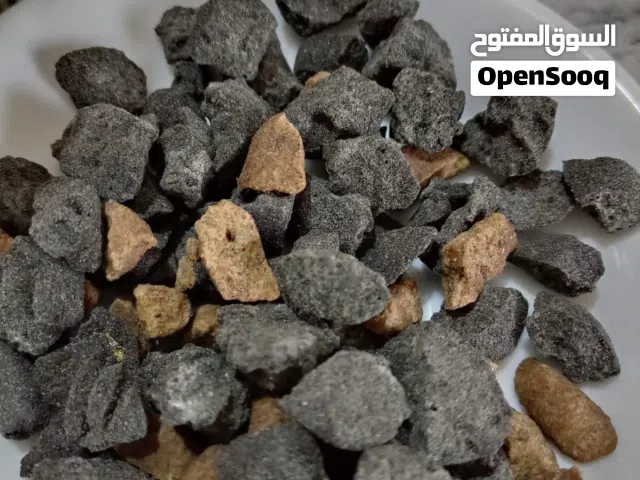 السلام عليكم بخور لبان ذكر الحكيم موجود من طنجه المغرب متوفر لدينا باقي التفصيل اتصال او واتس