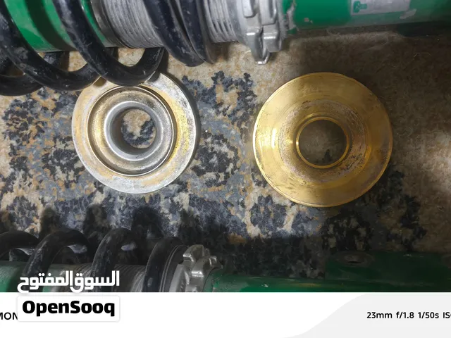 صنوبرصات اجستبل