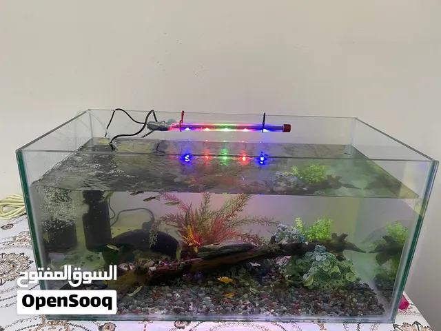 Tank for sale with all accessories.