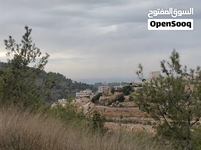 Residential Land for Sale in Hebron Bir AlMahjir