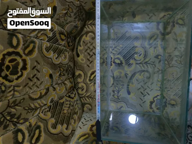 حوض سمك نضيف كلشي مابي لا فطر ولا أي شي نضيف جدا السعر 10 قفل