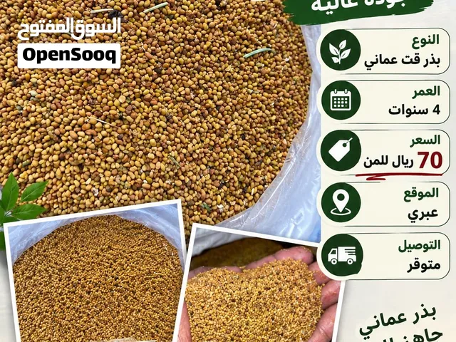 بذر قتل للبيع عمر أكثر من أربع سنوات