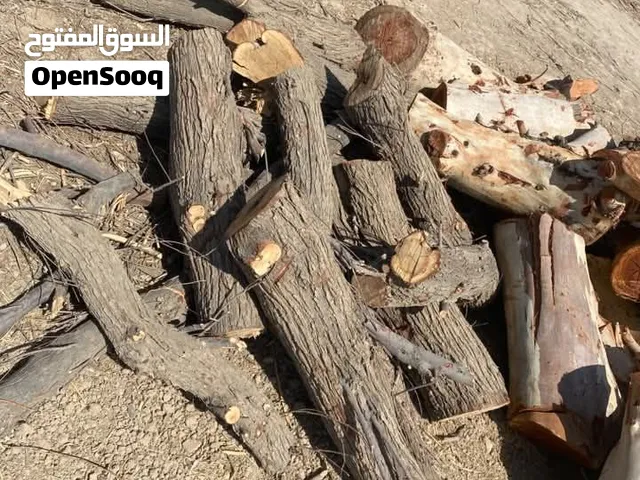 حطب للبيع مال سدر يابس جاهز الشوي