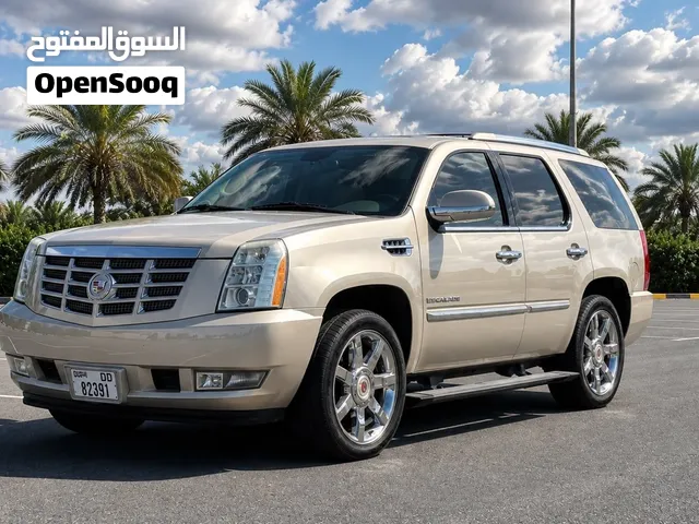 2009 كاديلاك اسكاليد Platinum