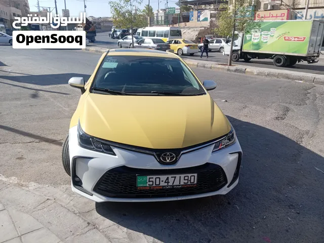 تويوتا كورولا 2025