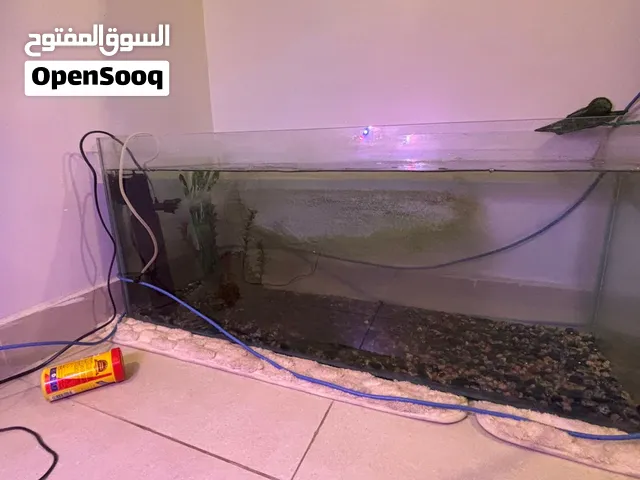 حوض سمك نظيف