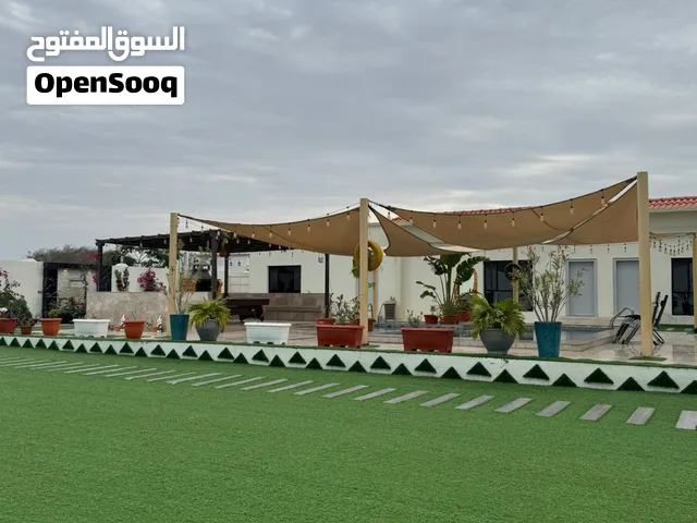 شاليه للبيع في بركاء - مساحة خضراء يمكن إقامة حفلات كبيرة (مرخصة من السياحة مدة 3 سنوات)