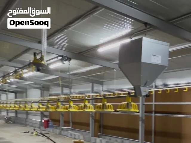 عنبر دواجن للإيجار أو مزرعة بالكاملة