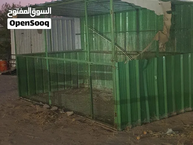 غفص محميه طيور او دجاج . لحيم كامل قياسها 3.5 في 180