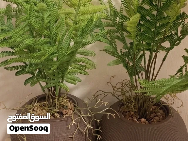 نباتات صناعي