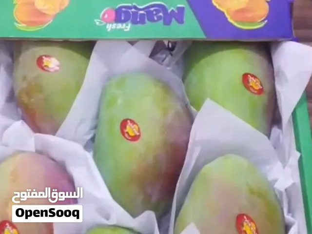 مطلوب شريك ممول لمشروع قائم