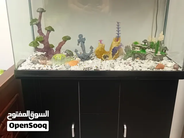 حوض سمك استعمال قليل جدا