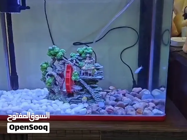 FISH TANK & BIRD CAGES SOR SALE