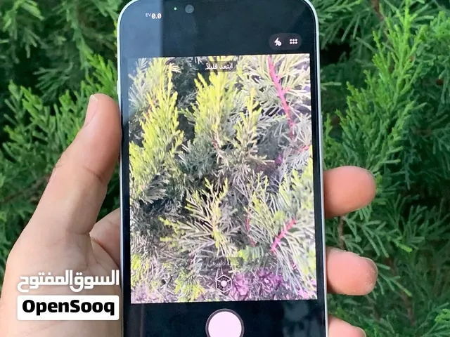 آيفون 13عادي مش مفتوح بطارية 91