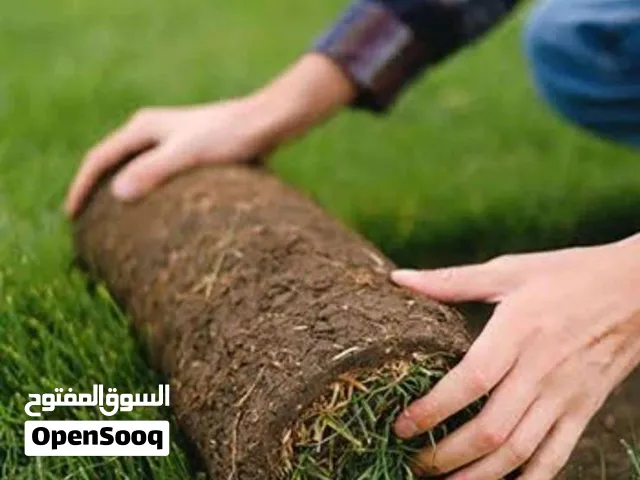العشب الطبيعي الجوده العاليه الممتازه اجعل حديقتك واحة خضراء طوال العام! متوفر لدينا عشب طبيعي عالي