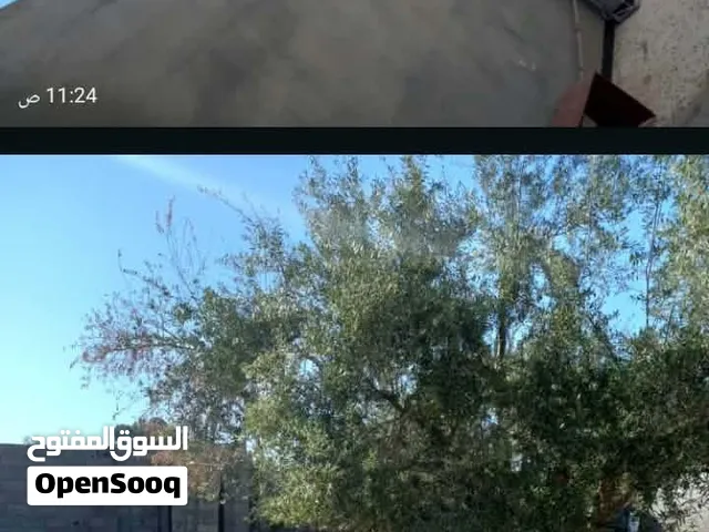 منزل دورين