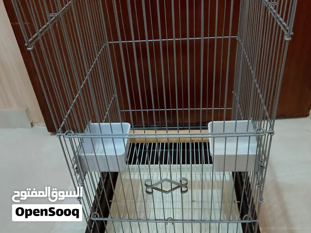 BIRD CAGE PARROT BIRD