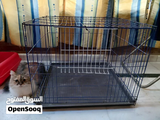 بوكس للكلاب والقطط للبيع
