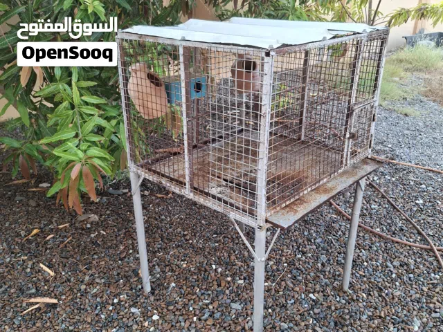 قفص حديد قوي وفيه سحاب لتنظيف
