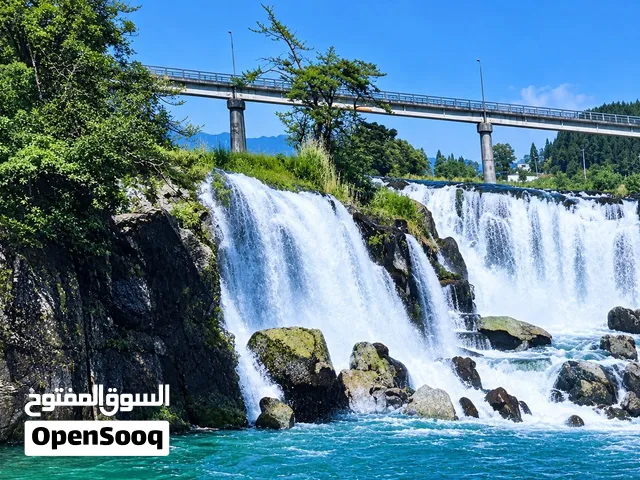 لوحة حائط للبيع 25kd