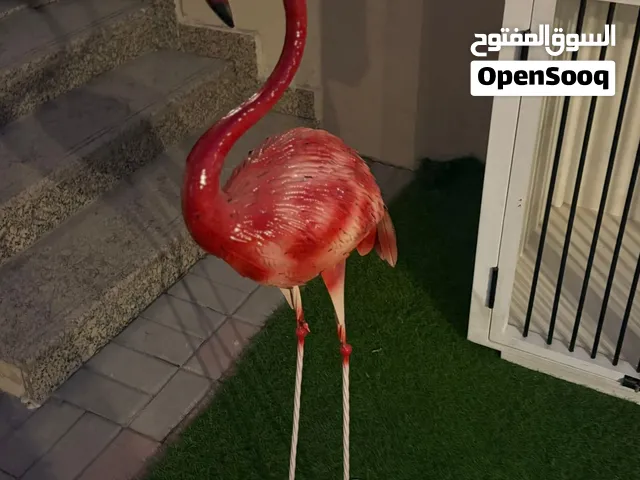 زينة أكسسوارات