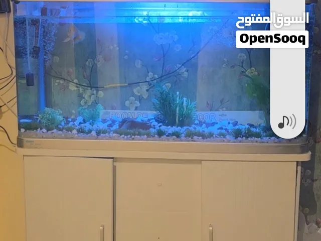 Aquarium with Fish