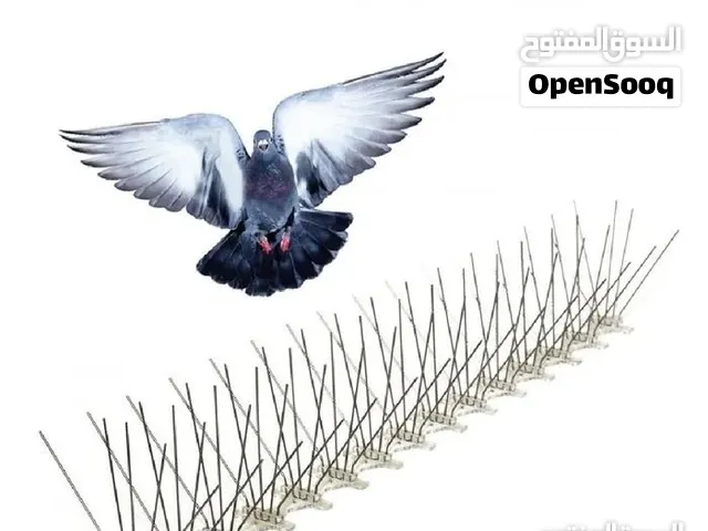 طارد طيور طارد حمام