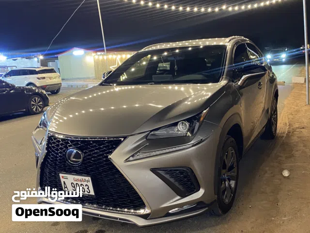 2019 لكزس NX NX 300