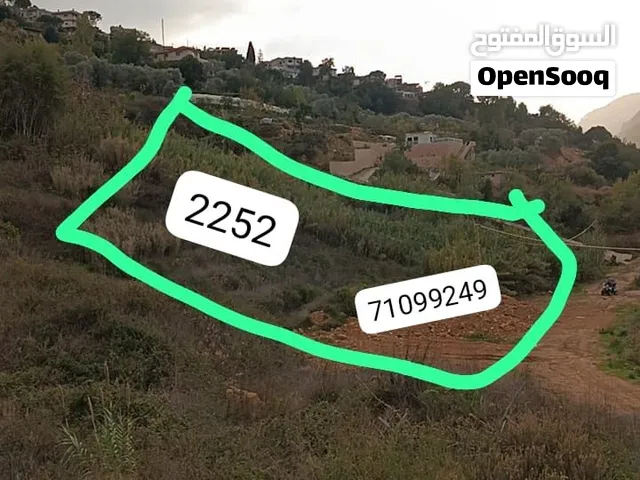 ارض للبيع مسحتها 2225 صك اخضر