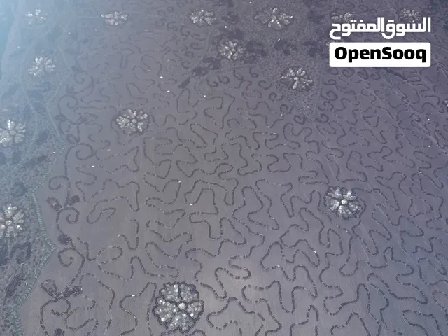 مفرش طاولة مستعمل أستعمال بسيط مطرز كله هند ميد هندي