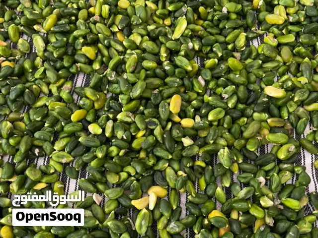 لب الفستق الأخضر الإيراني  Golshan Nuts