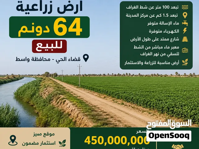 أرض زراعيه مميزه قرب شط الغراف