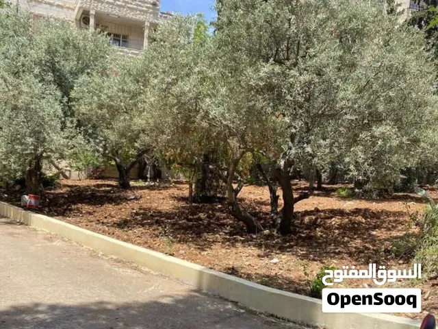 بيت مع ارض في بيت جالا شارع سهل