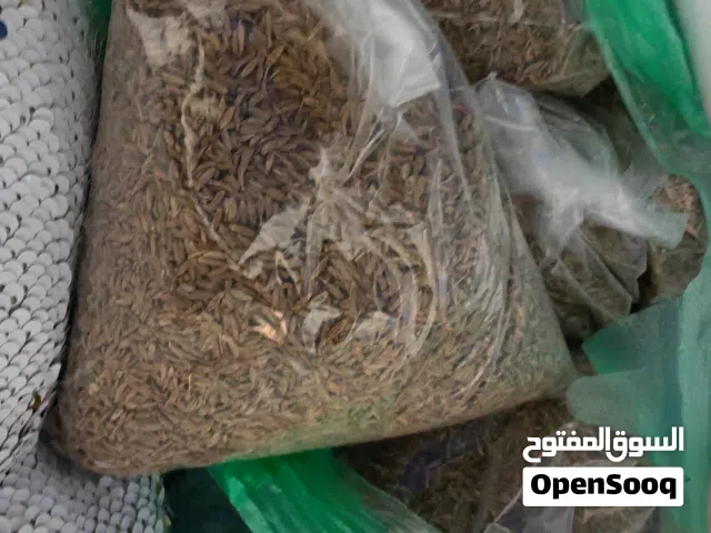 كمون حبه كامله ربع كيلو كيس